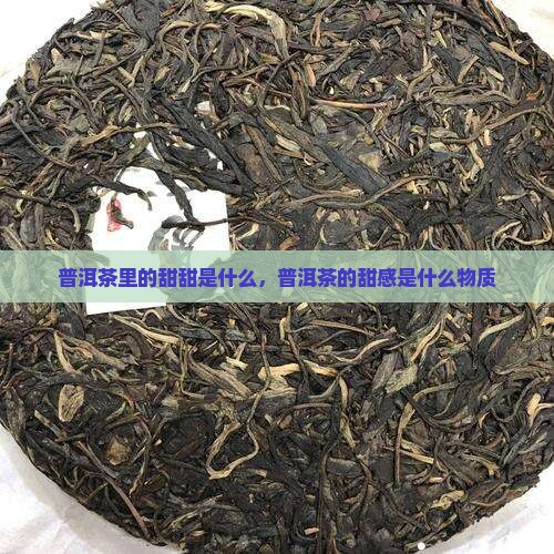 普洱茶里的甜甜是什么