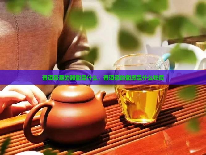 普洱茶里的甜甜是什么