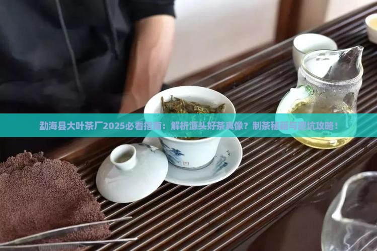 勐海县大叶茶厂