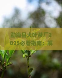 勐海县大叶茶厂