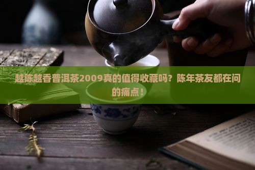 越陈越香普洱茶2009