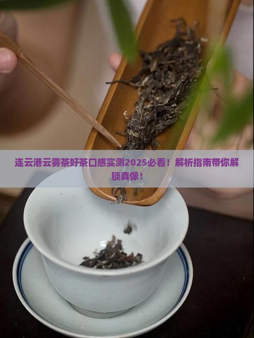 连云港云雾茶好茶的口感