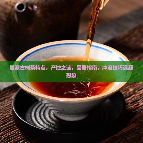 缅甸曼派古树茶特点