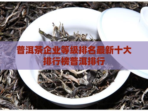 普洱茶企业等级排名最新