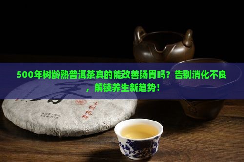 500年树龄熟普洱茶