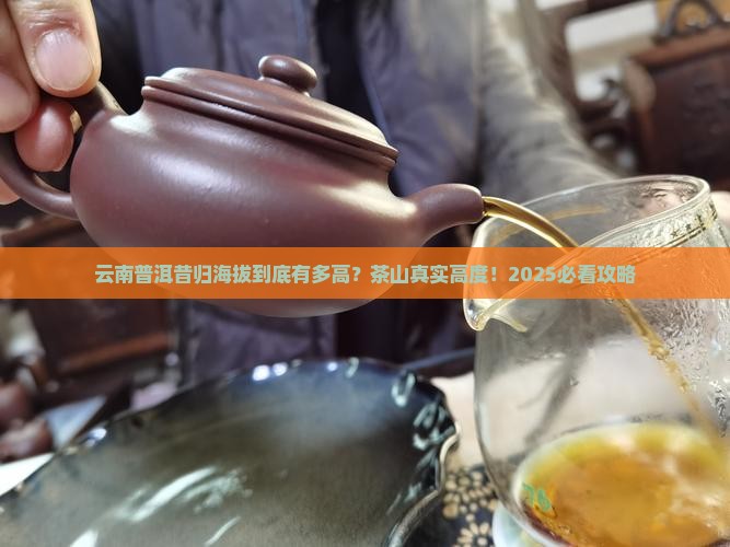 云南普洱昔归海拔