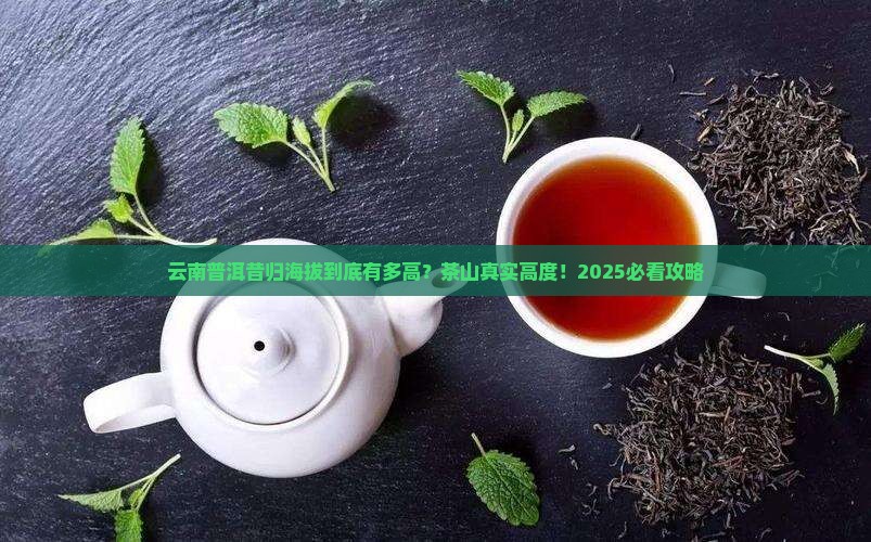 云南普洱昔归海拔