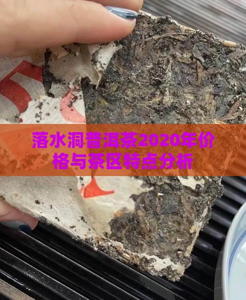 落水洞普洱茶2020年