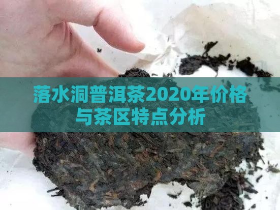 落水洞普洱茶2020年
