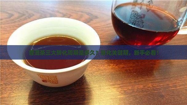 普洱茶三大转化周期是多久