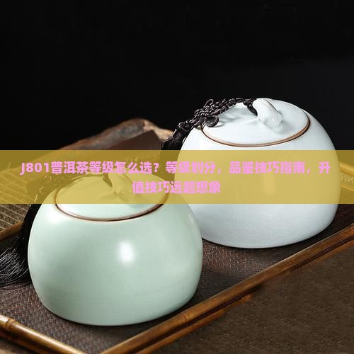 J801普洱茶等级