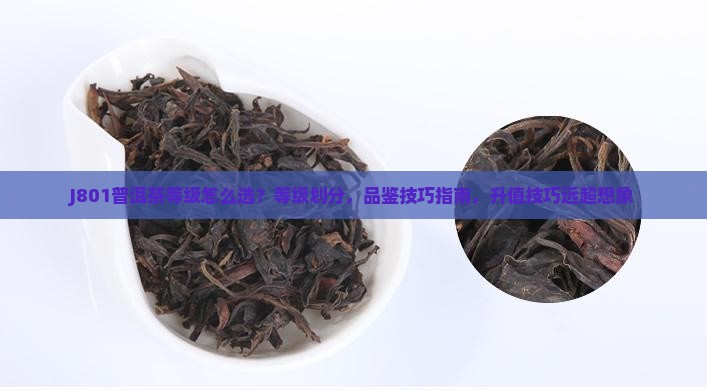 J801普洱茶等级