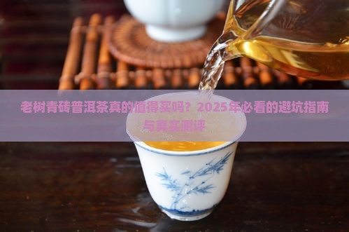 老树青砖普洱茶