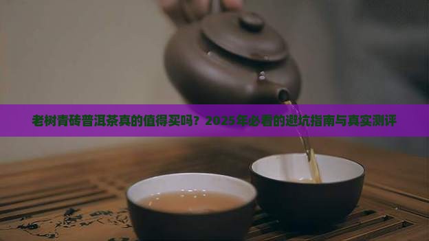 老树青砖普洱茶