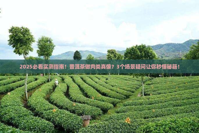 普洱茶可以做肉类吗