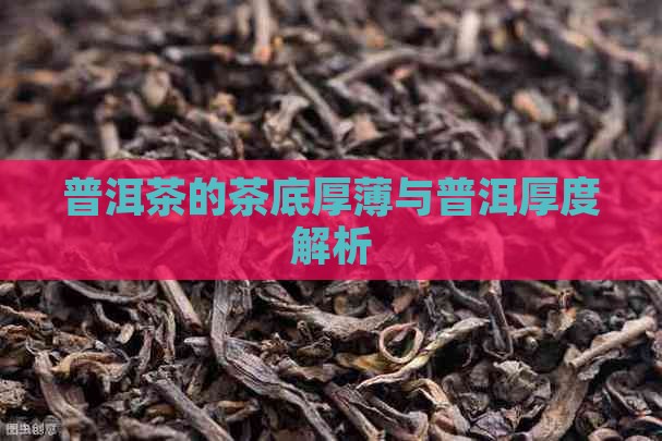 普洱茶的茶底厚薄