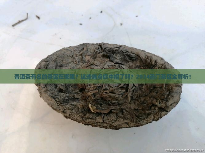 普洱茶有名的茶区在哪里