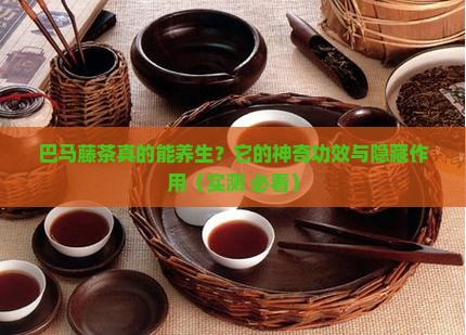 巴马藤茶的功效与作用