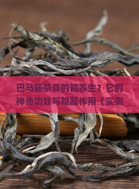 巴马藤茶的功效与作用