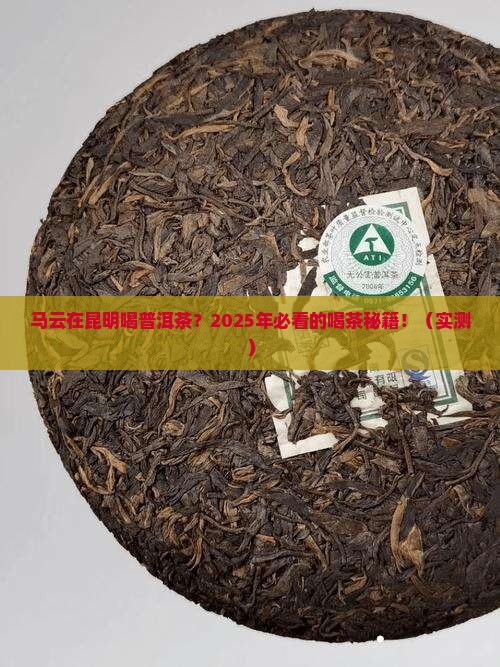 马云在昆明喝普洱茶