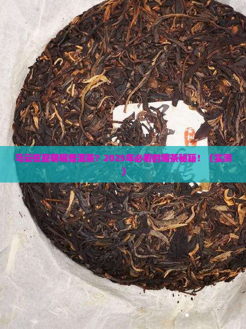 马云在昆明喝普洱茶