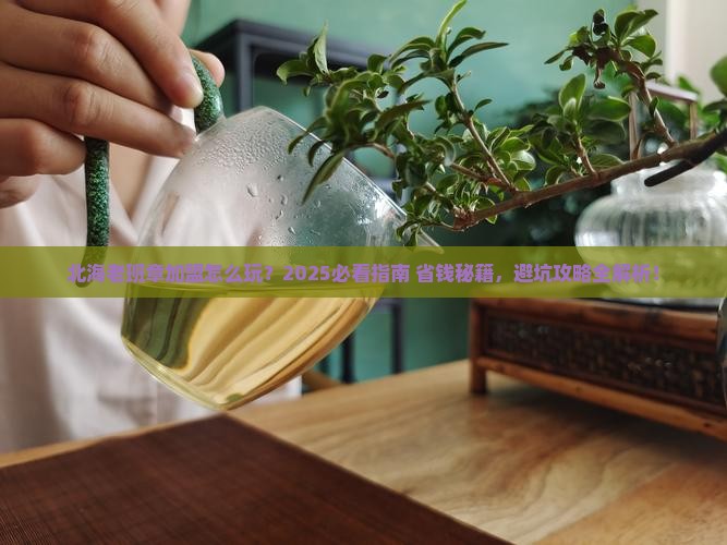 北海老班章怎么加盟