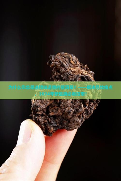 味道比较重的普洱茶