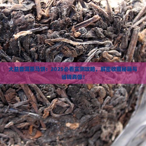 大益普洱茶.马饼