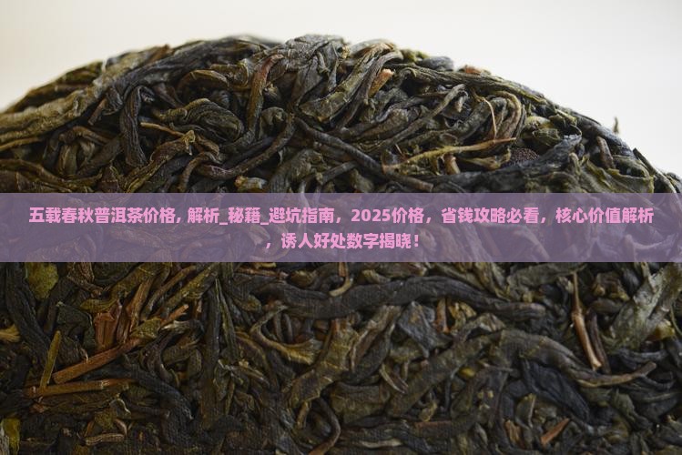 五载春秋普洱茶价格