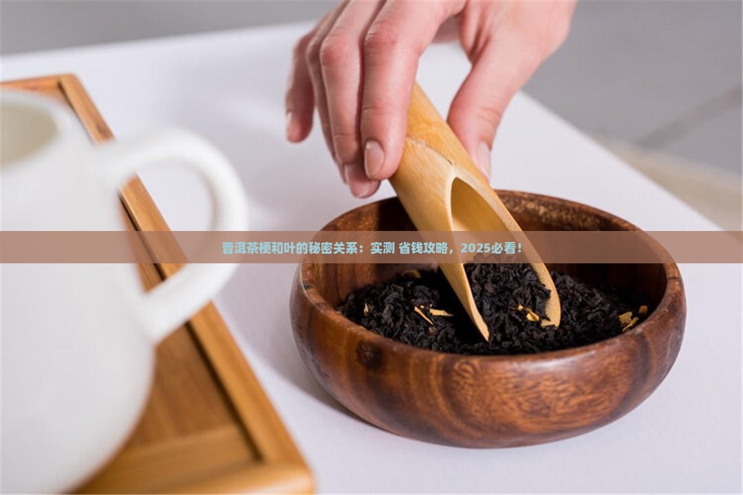 普洱茶梗和叶的关系