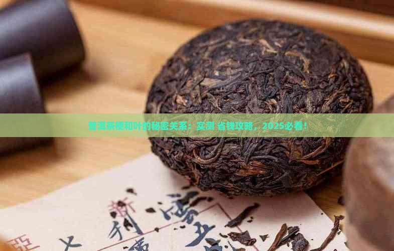 普洱茶梗和叶的关系