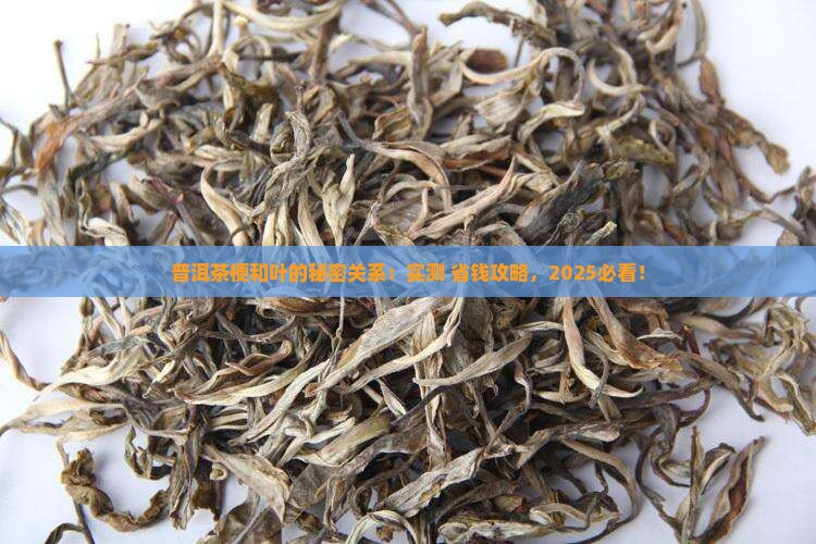 普洱茶梗和叶的关系