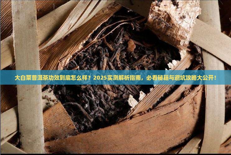 大白菜普洱茶功效