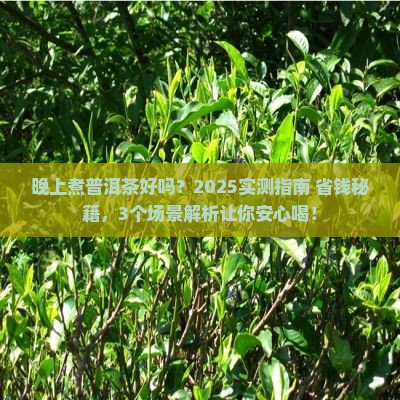 晚上煮普洱茶好吗吗