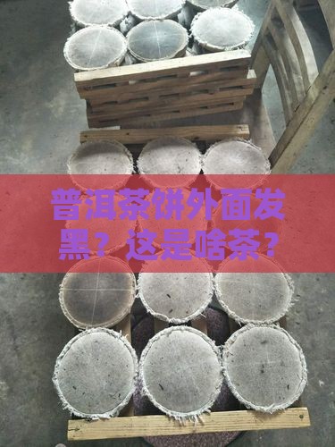 普洱茶饼外面有点黑色是什么茶
