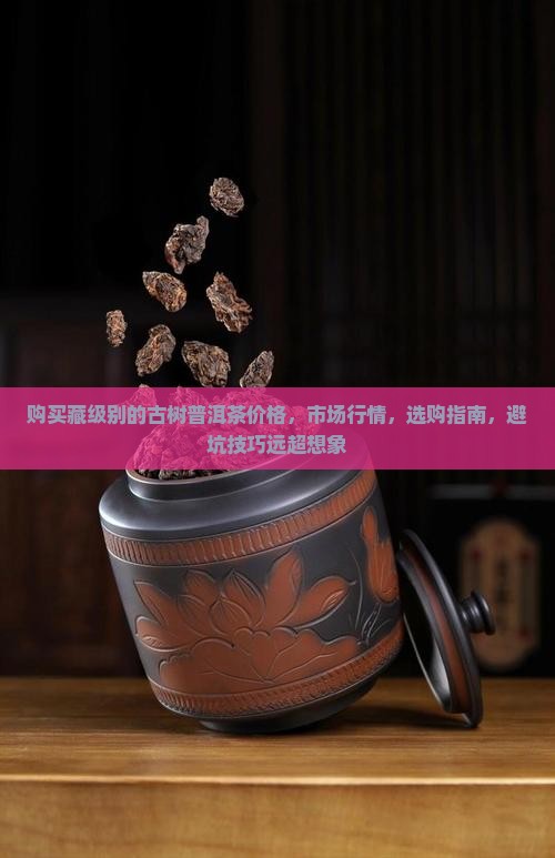 购买藏级别的古树普洱茶价格