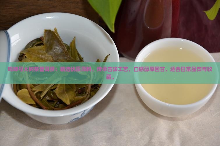 鸣坤号大树茶普洱茶