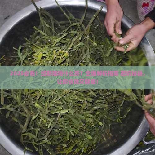 经期能喝什么茶