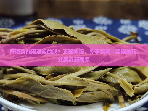 普洱茶能用浸泡的吗