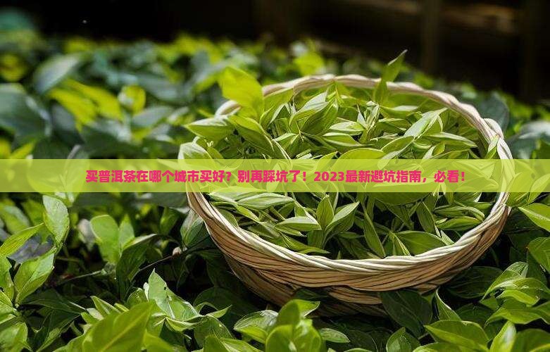 买普洱茶在哪个城市买好