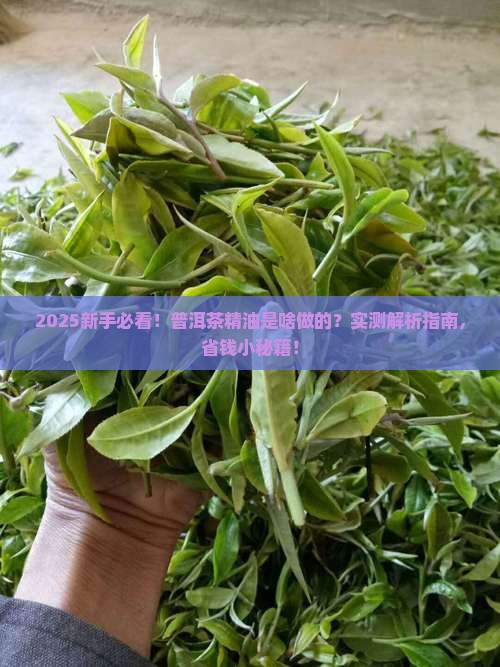 普洱茶中的精油是什么做的