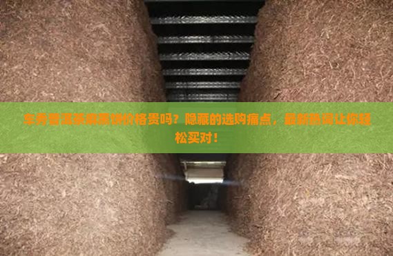车秀普洱茶麻黑饼价格查询