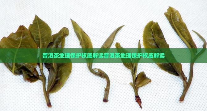 普洱茶地理保护