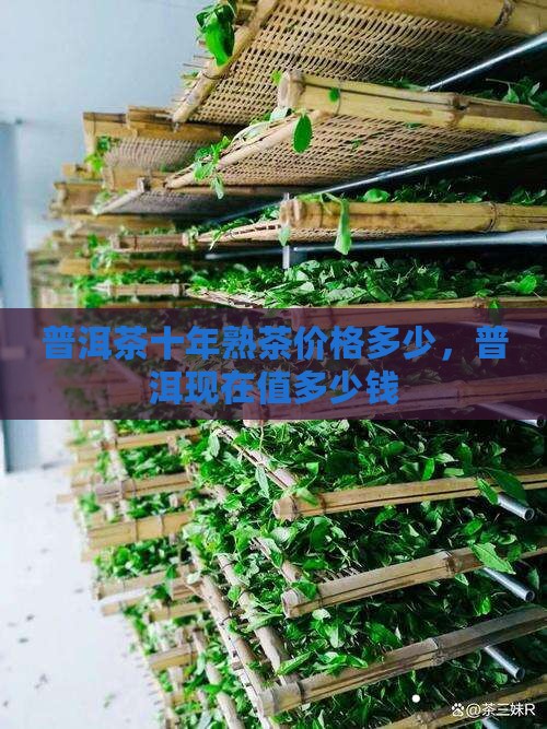 普洱茶熟茶放了10年值多少