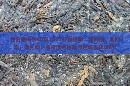 昔归普洱茶40粒