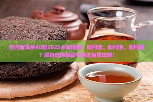 昔归普洱茶40粒