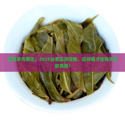 普洱茶能与菊花