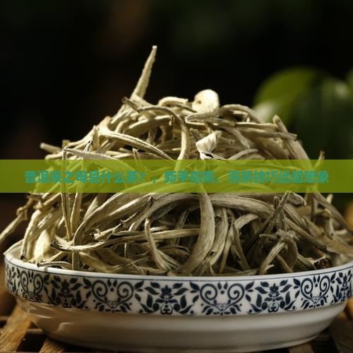 普洱茶之母是什么茶