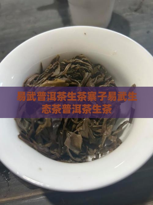 易武普洱茶生茶寨子