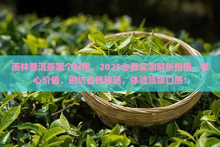 雨林普洱茶哪个好喝